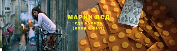 PSILOCYBIN Вяземский