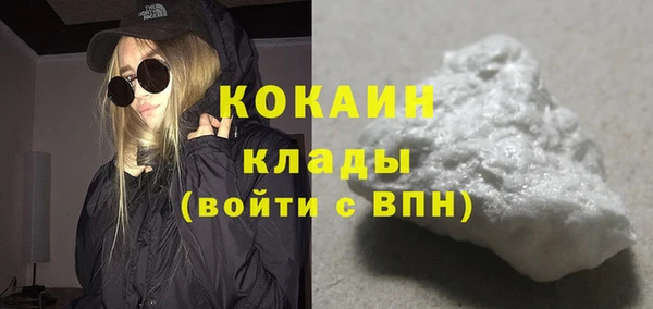 PSILOCYBIN Вяземский