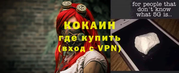 PSILOCYBIN Вяземский