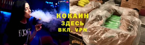 PSILOCYBIN Вяземский