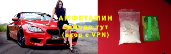 PSILOCYBIN Вяземский